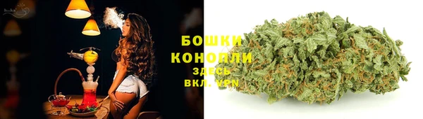 мяу мяу мука Остров