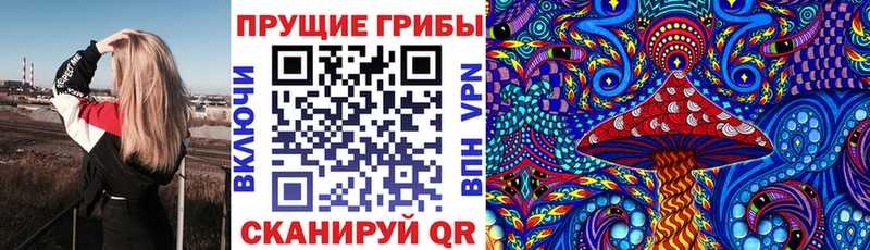 Галлюциногенные грибы Cubensis Юхнов
